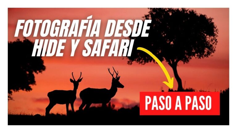 Cursos de Edición Fotográfica en Andújar: Dónde Encontrarlos