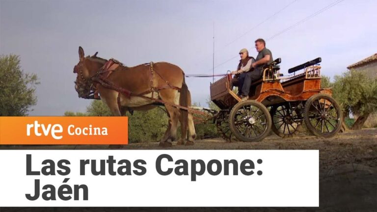 Rutas de Senderismo en &Uacute;beda: Descubre los Mejores Caminos