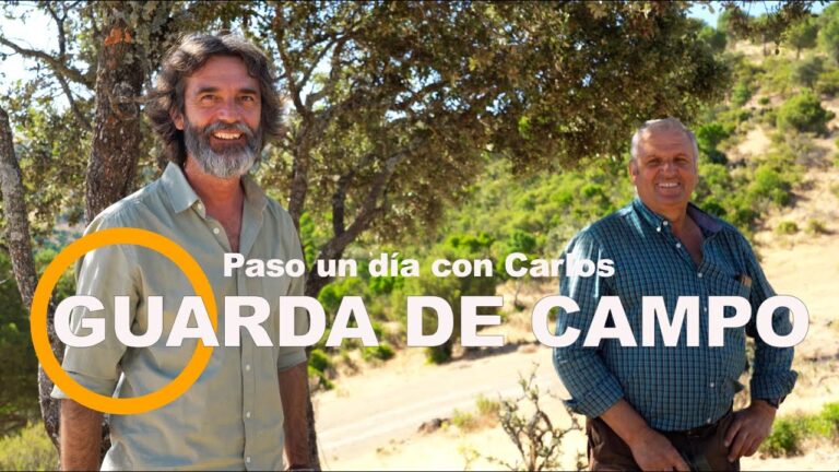 Gu&iacute;a de Guarder&iacute;as de Verano en And&uacute;jar