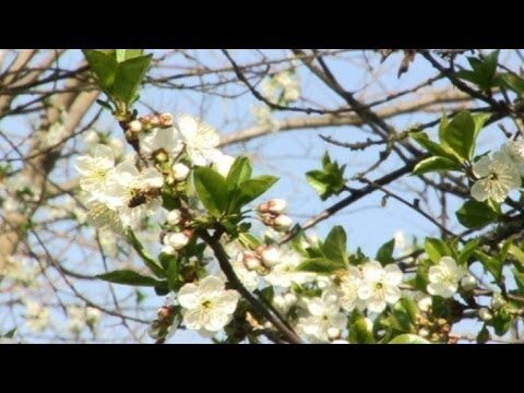 Guía de compra: Productos de salud natural en Alcalá la Real