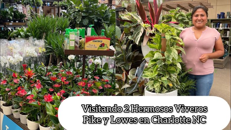 Guía para Encontrar Tiendas de Jardinería en La Carolina