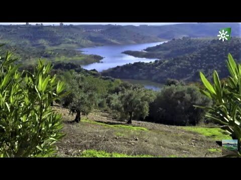 Rutas Tur&iacute;sticas Populares en La Carolina