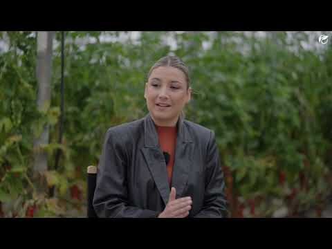 Guía para Encontrar Alimentos Orgánicos en Cazorla