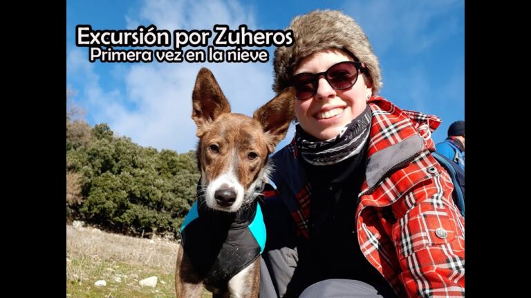 Playas para perros cerca de Úbeda